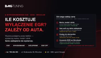 Ile kosztuje wyprogramowanie EGR i od czego zależy cena?